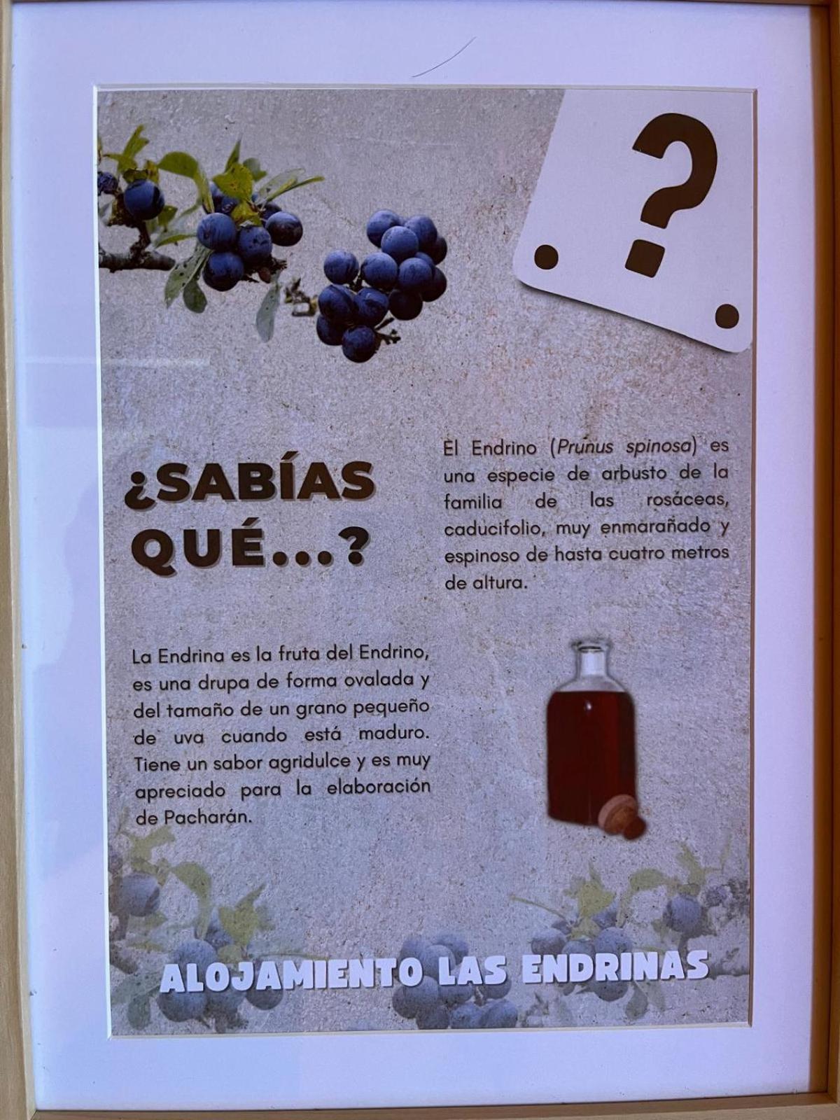 Alojamiento Las Endrinas Ezcaray Bagian luar foto